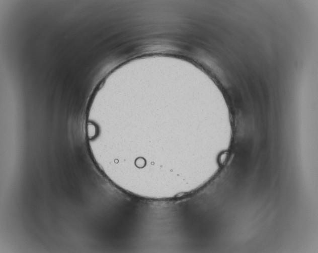 X0000110981322200906261421