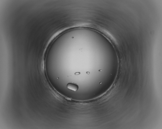 X0000110981324200906261421