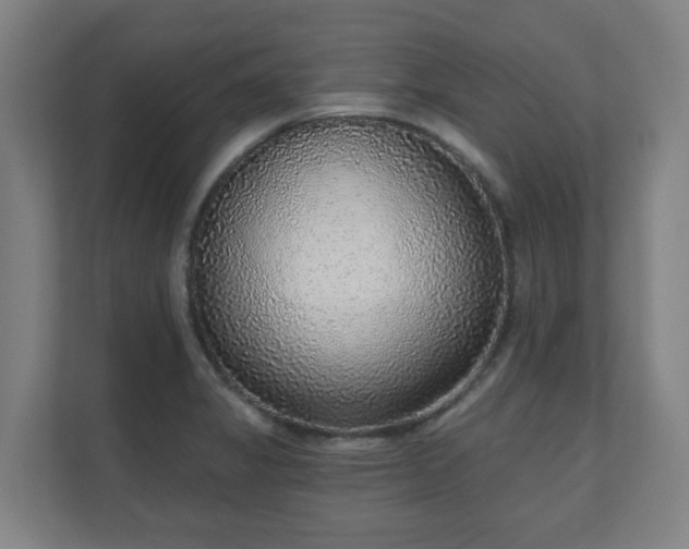 X0000110981325200906261421