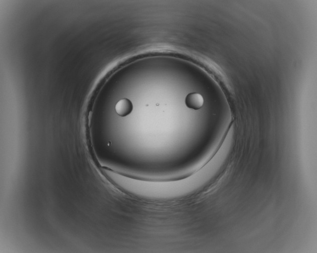 X0000110981326200906261421