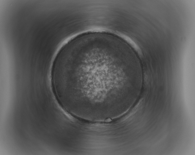 X0000110981327200906261421