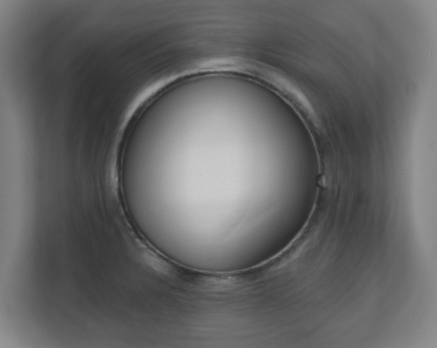 X0000110981328200906261421