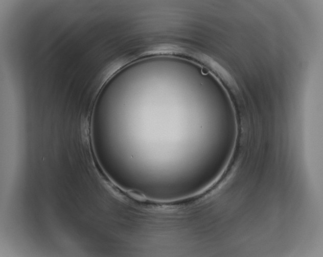 X0000110981329200906261421