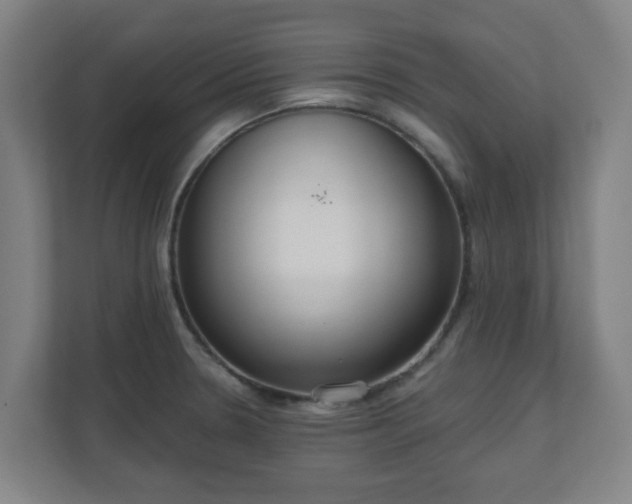 X0000110981330200906261421