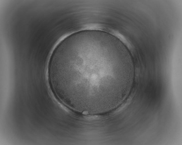 X0000110981331200906261421