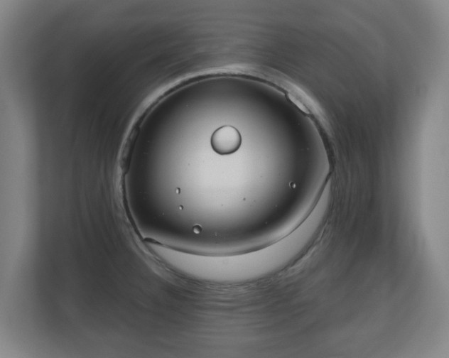 X0000110981332200906261421