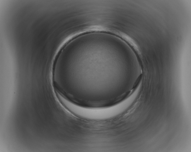 X0000110981334200906261421