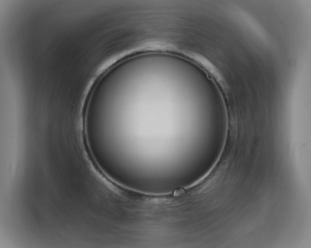 X0000110981335200906261421