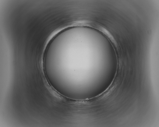 X0000110981336200906261421