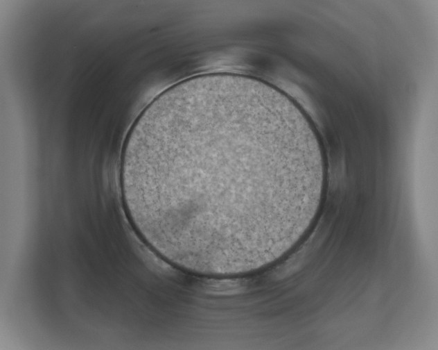 X0000110981338200906261421