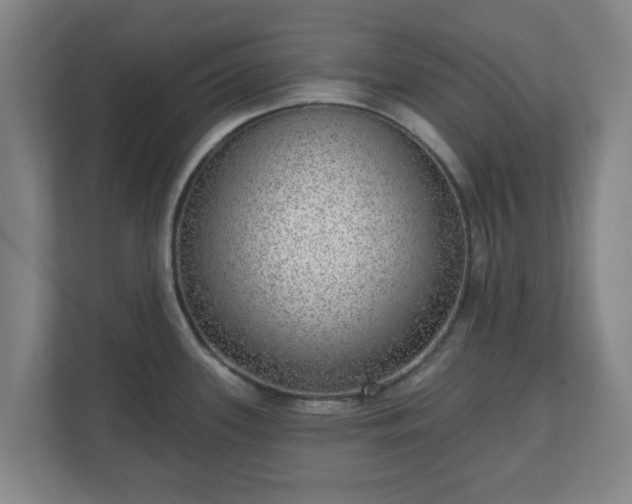 X0000110981339200906261421