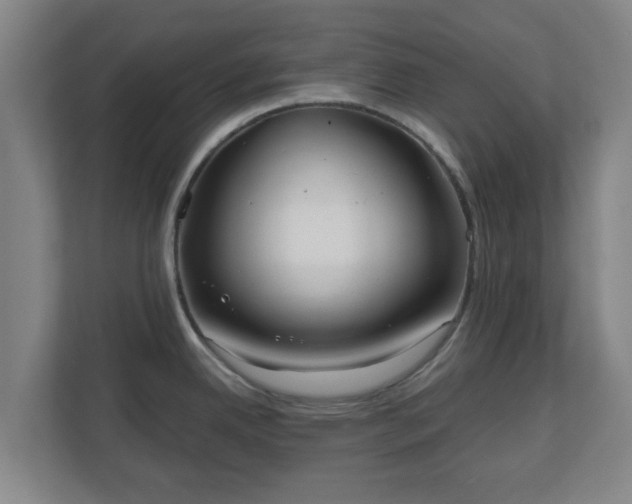 X0000110981342200906261421