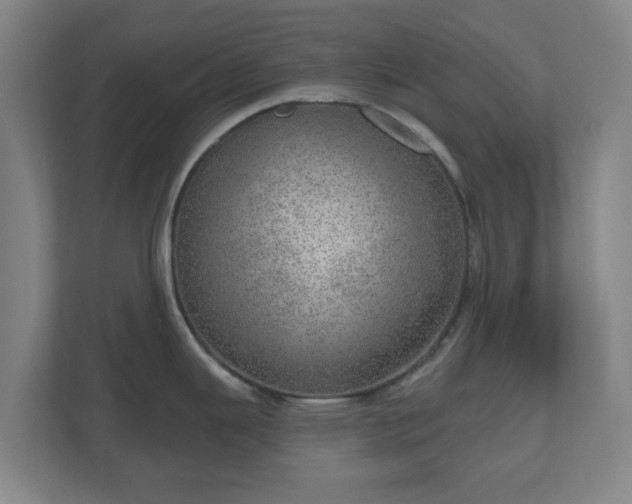 X0000110981343200906261421