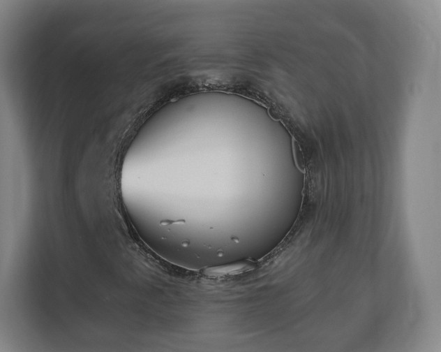 X0000110981345200906261421