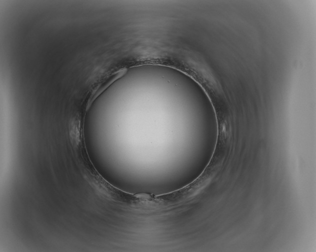 X0000110981348200906261421