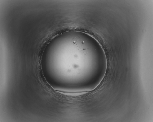 X0000110981349200906261421