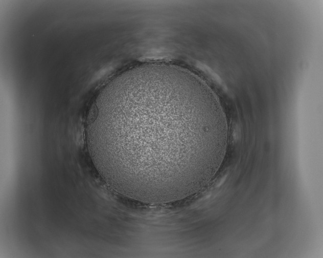 X0000110981350200906261421