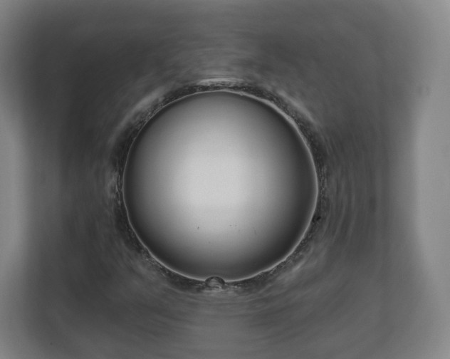 X0000110981351200906261421