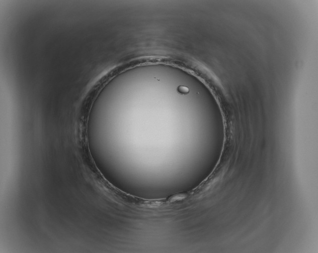 X0000110981352200906261421