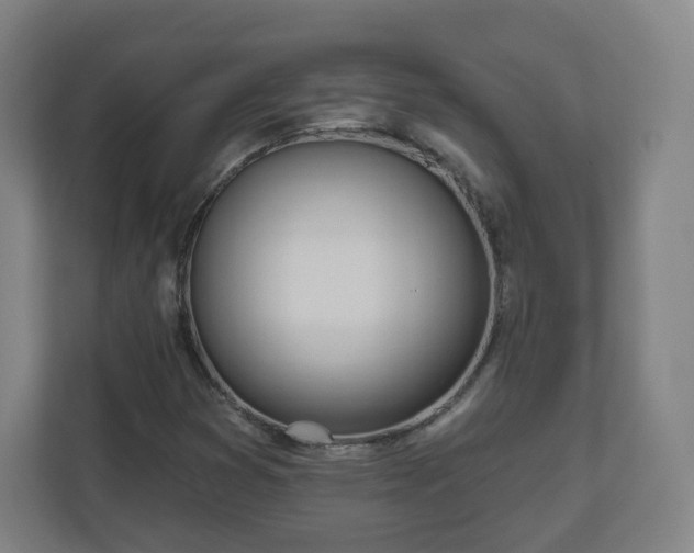 X0000110981353200906261421