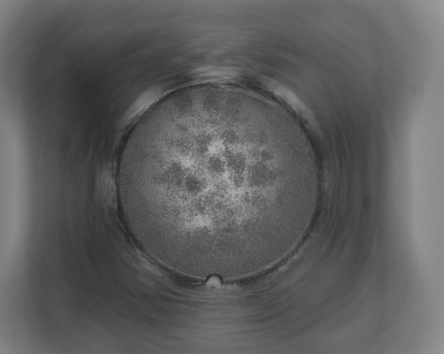 X0000110981354200906261421