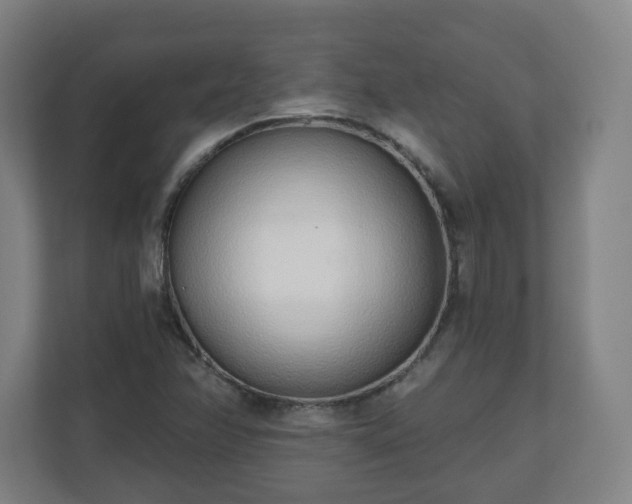 X0000110981358200906261421