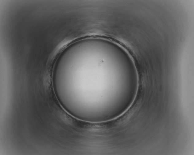 X0000110981359200906261421