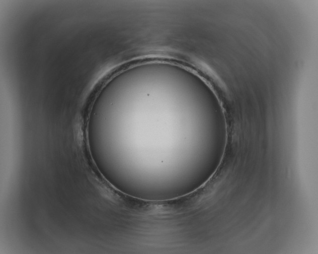 X0000110981360200906261421