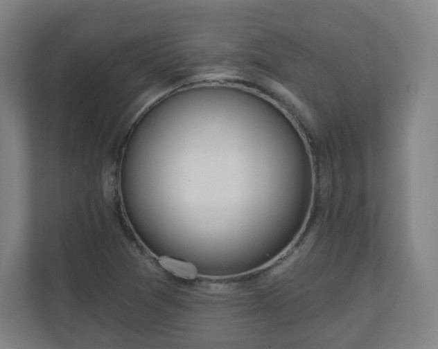 X0000110981361200906261421