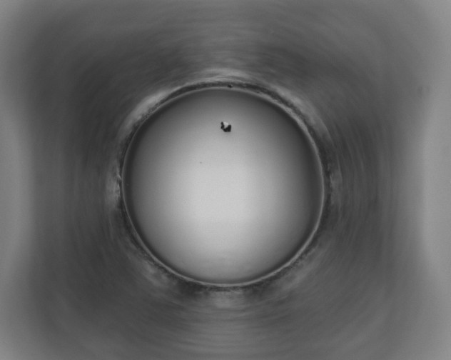 X0000110981363200906261421