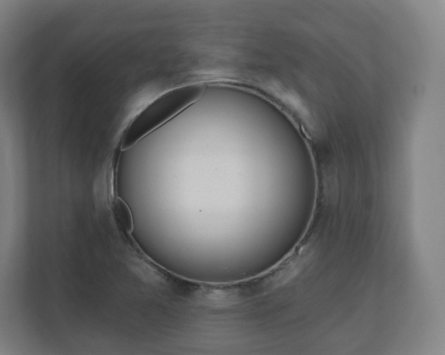 X0000110981365200906261421