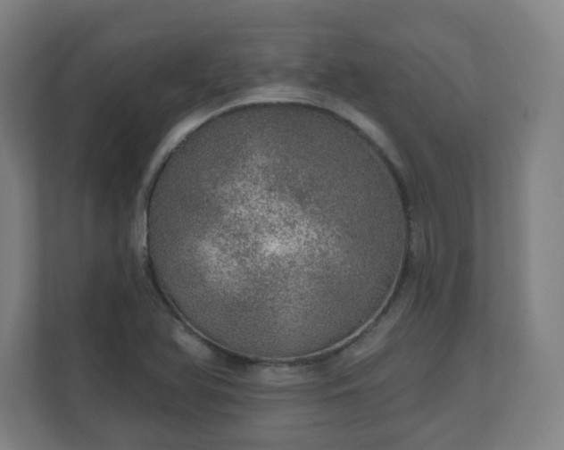 X0000110981366200906261421