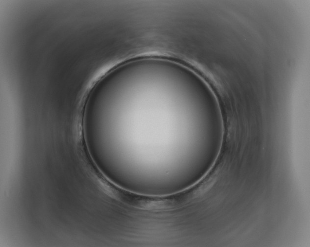 X0000110981367200906261421