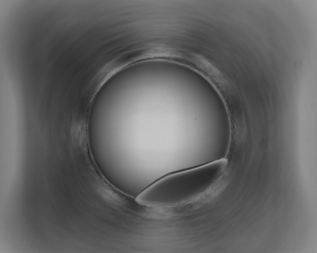 X0000110981369200906261421