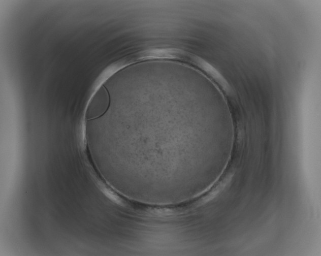 X0000110981370200906261421