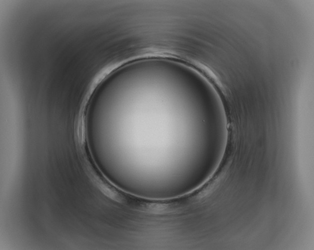 X0000110981371200906261421