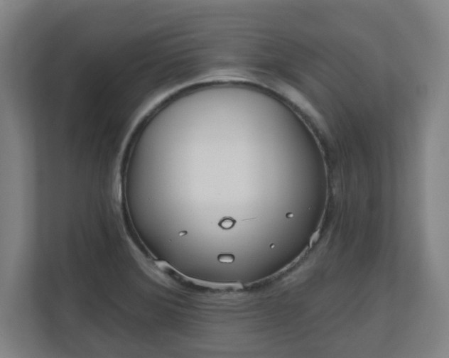 X0000110981372200906261420