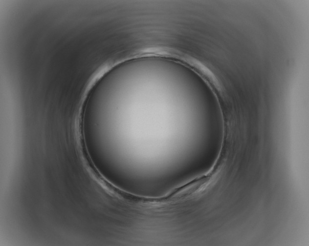 X0000110981373200906261420