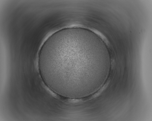 X0000110981374200906261420