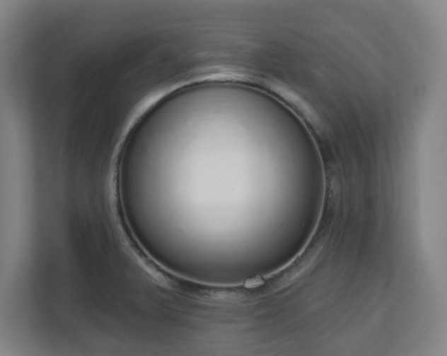 X0000110981375200906261420