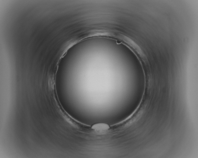 X0000110981377200906261420