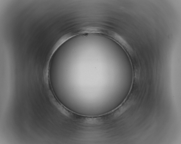 X0000110981378200906261420