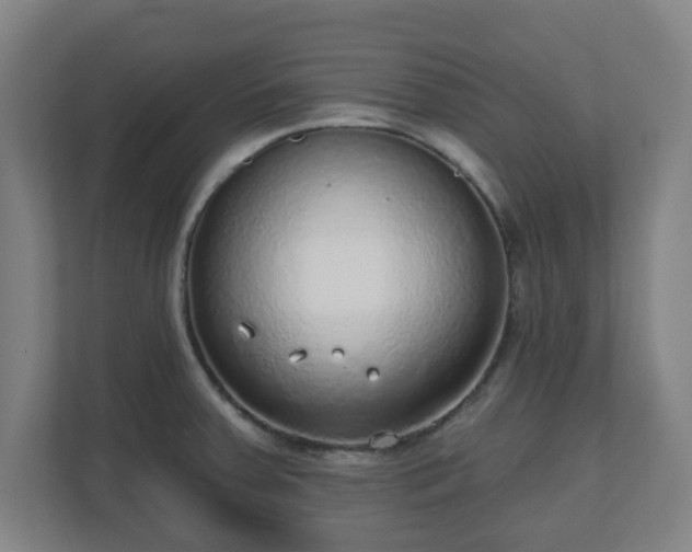 X0000110981379200906261420