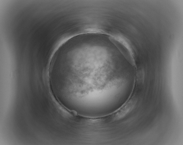 X0000110981381200906261420