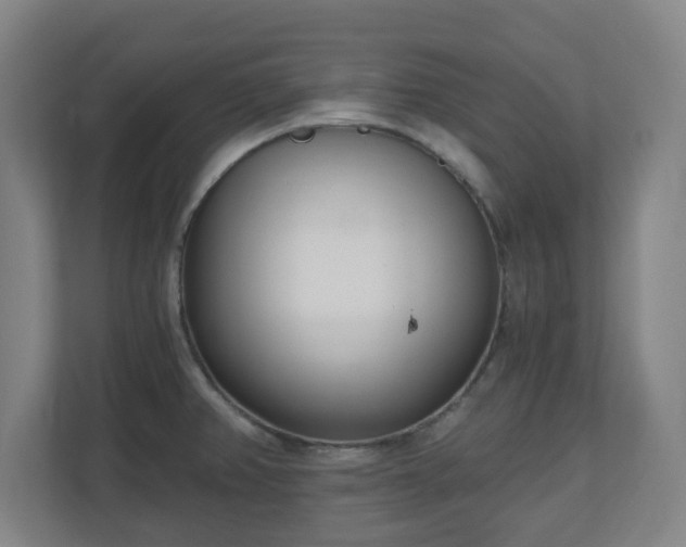 X0000110981382200906261420