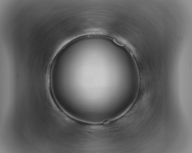 X0000110981383200906261420