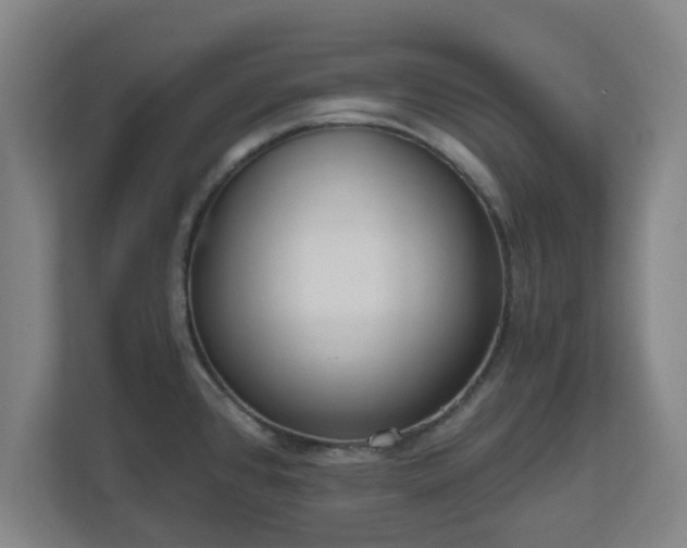 X0000110981384200906261420