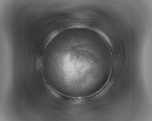 X0000110981385200906261420