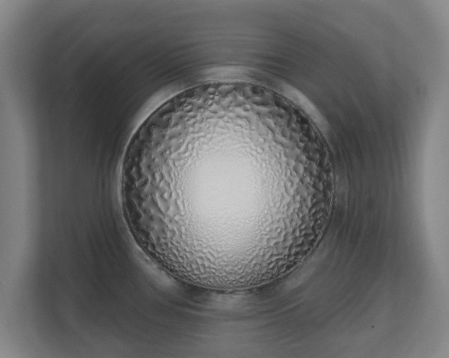 X0000110981386200906261420