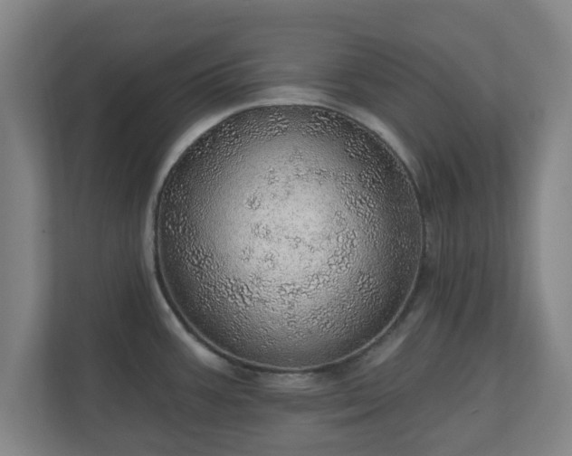 X0000110981387200906261420